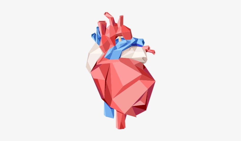 Where Technological Talent Meets Human Heart - Low Poly Human Heart, transparent png download
