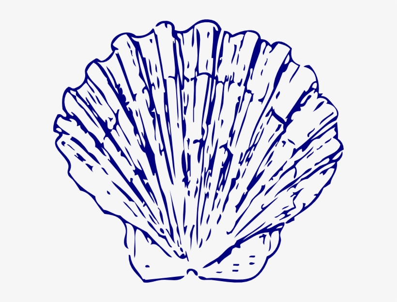 Small - Blue Sea Shell Clip Art, transparent png download