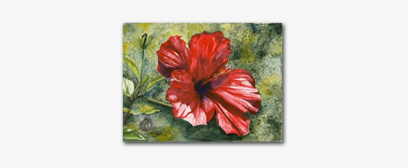 "hibiscus" Original Watercolor - Hawaiian Hibiscus, transparent png download