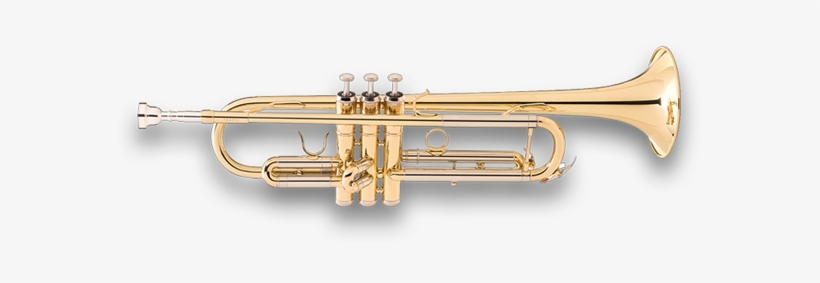 Trumpet, transparent png download
