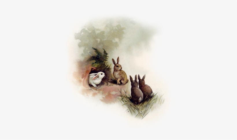 Mothers Are To Reflect The Majesty Of God - Snowshoe Hare, transparent png download