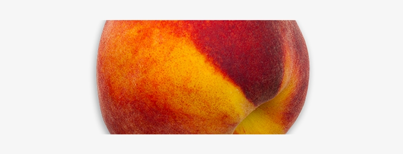 Fresh Peaches In Summer - Close-up, transparent png download