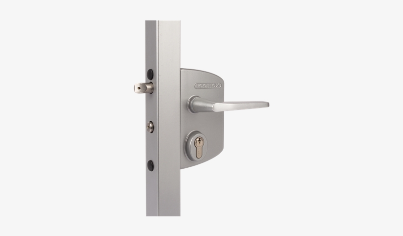 Industrial Lock - Locinox Lakqu2 Industrial Lock - Chain Link Lock, transparent png download