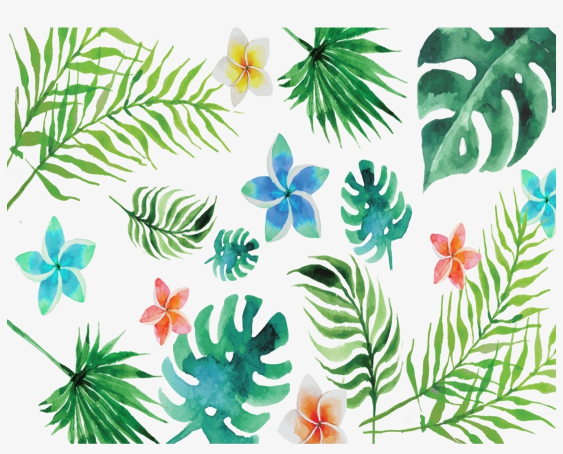 Leaf Transparent Summer - Summer Leaves Png, transparent png download