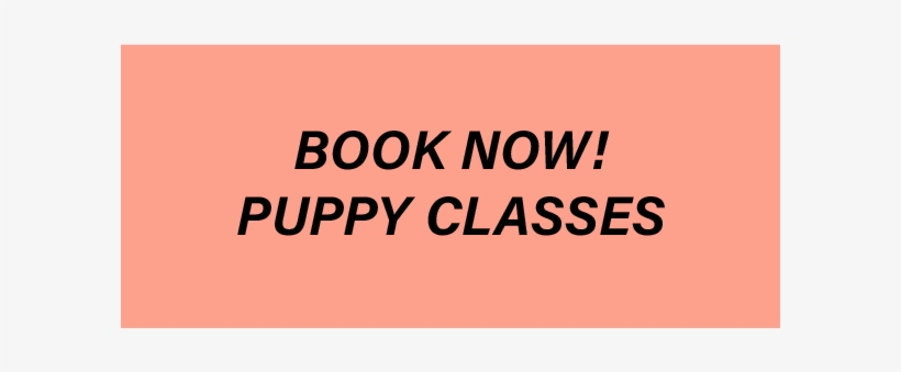 Image 1553458 Ppy Button - Witnesses And Ministers Of The Word: Preaching, transparent png download