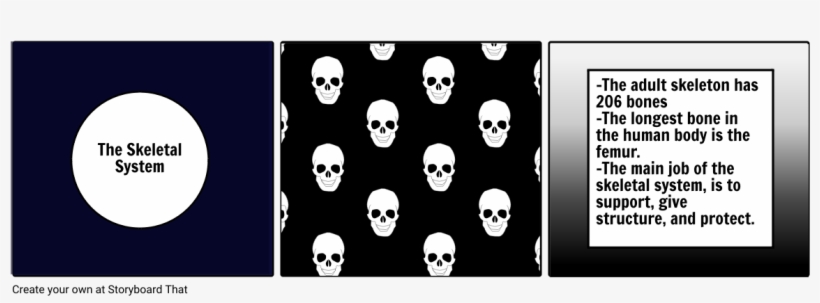 Skeletal System - North Carolina, transparent png download