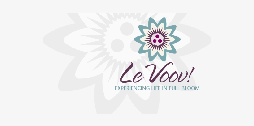 Le Voov - African Daisy, transparent png download