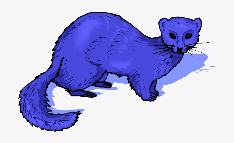 Weasel Linux Webservice Universita' Degli Studi Di - Weasels, transparent png download