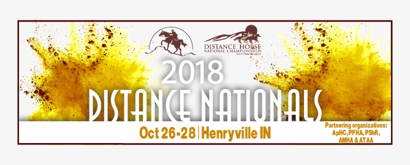 Ride News - Endurance Horse, transparent png download