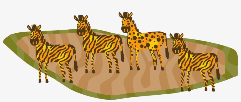 Vector Illustration Of African Striped Zebra Horses, transparent png download