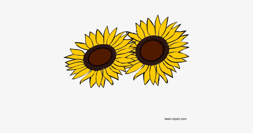 Free Clip Art Image Of Sun Flowers - Sunflower, transparent png download