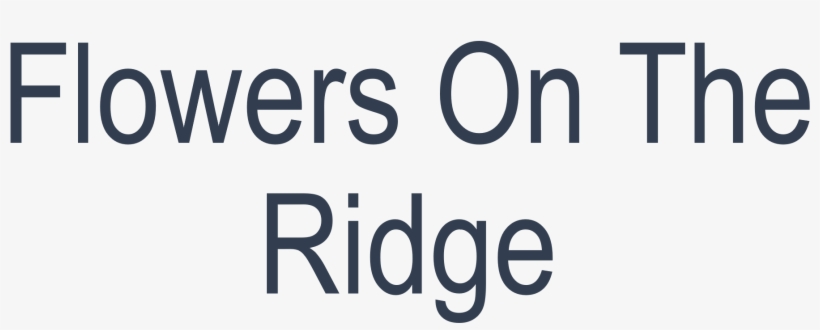 Insert Image Here Png, transparent png download