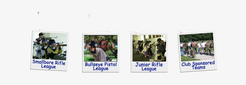 Free Clothesline Png - Tree, transparent png download