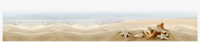 Parent Directory - Experiences In Public Speaking: An Activity Book, transparent png download