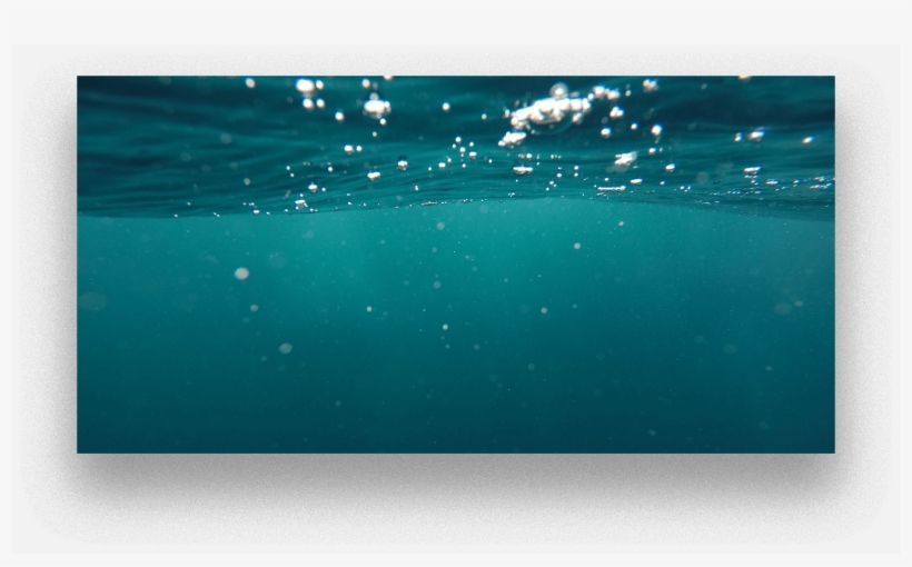 We Seem To Have An Inherent Need To Fill Emptiness - Blood-red Sea: The Last Voyage Of Daniel Collins, transparent png download