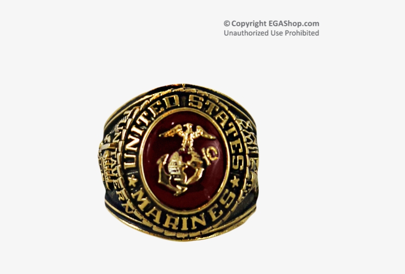 18k Gold Electroplated With Austrian Crystal Stone, transparent png download