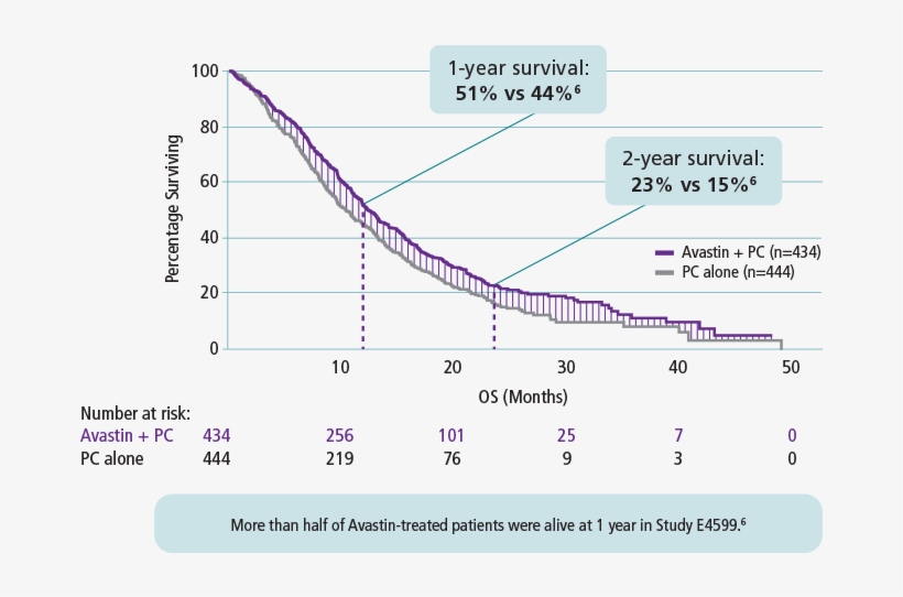 Avastin® Clinical Study E4599 Overall Survival Percentage - Clinical Trial, transparent png download