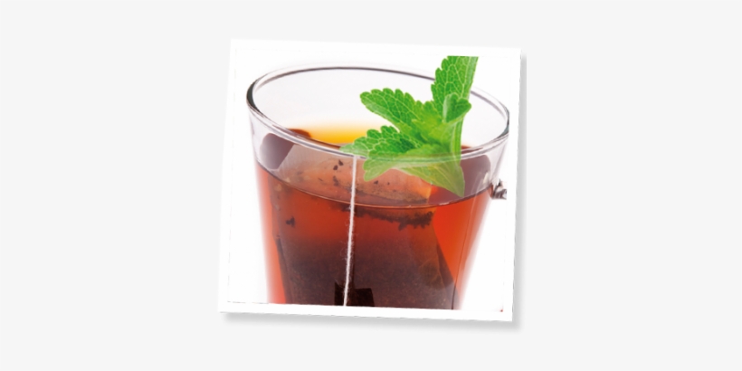 Sugar Free Sweet Tea Recipe - Stevia Rebaudiana, transparent png download