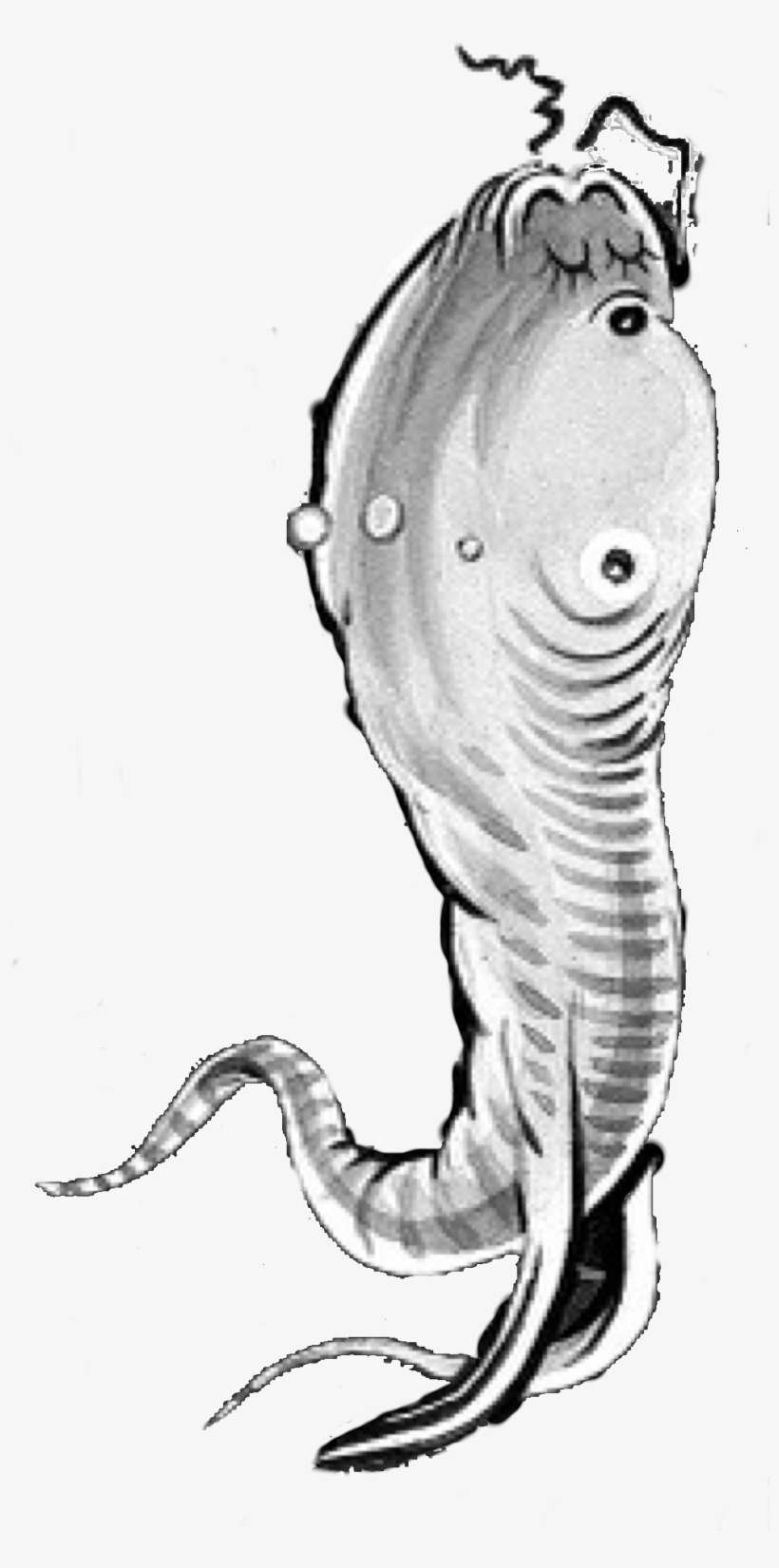 Glurk Fish - Png - Conger Eel, transparent png download