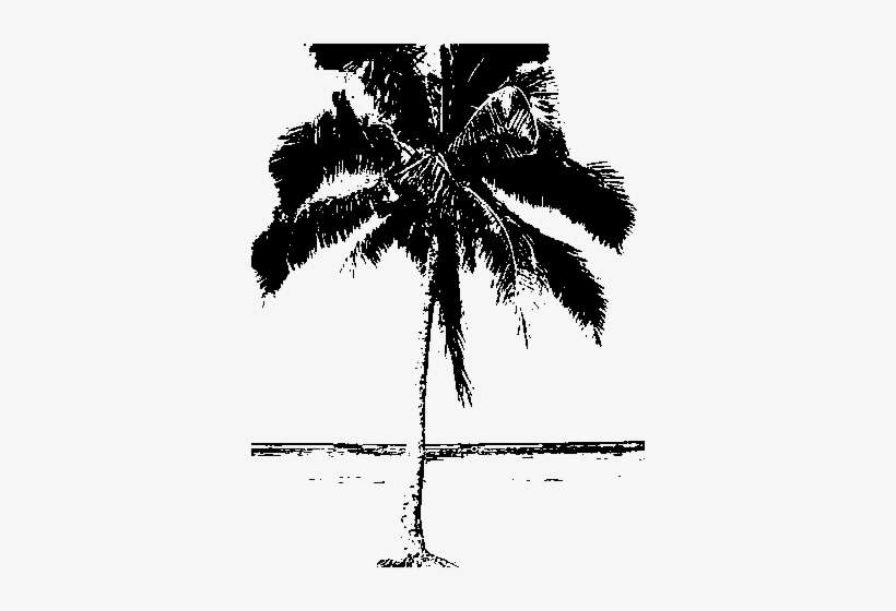 Palm Tree Mask Clipping Mask Tutorial - Palm Tree Greyscale, transparent png download