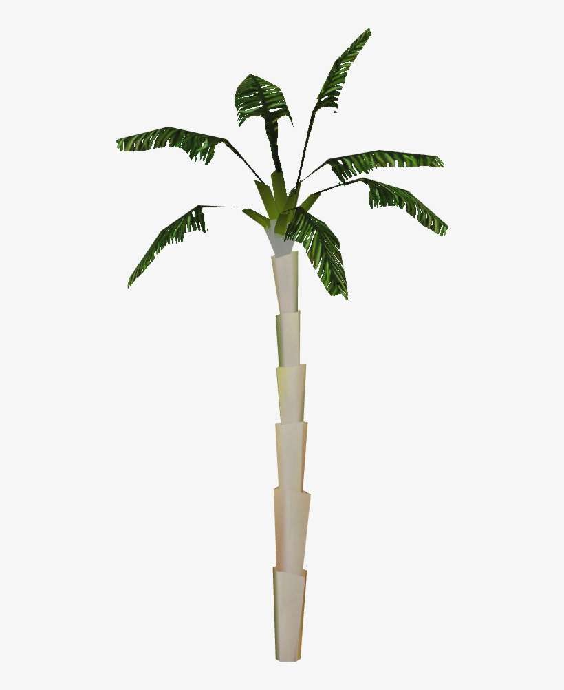 Copernicia Palm - Attalea Speciosa, transparent png download