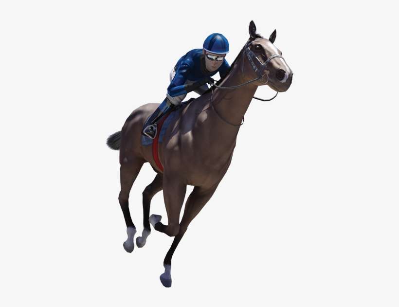 Product Showcase - Virtual Horse Racing Png, transparent png download
