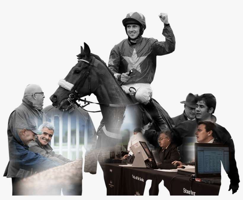 The British Horseracing Authority Building A Brighter - Horse Race Transparent, transparent png download