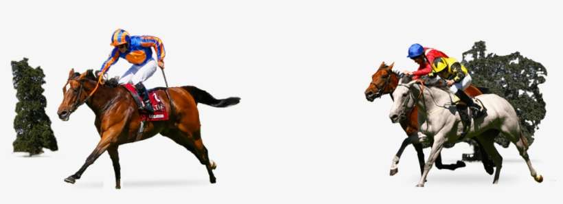 Horses Running In A Race - Horse, transparent png download