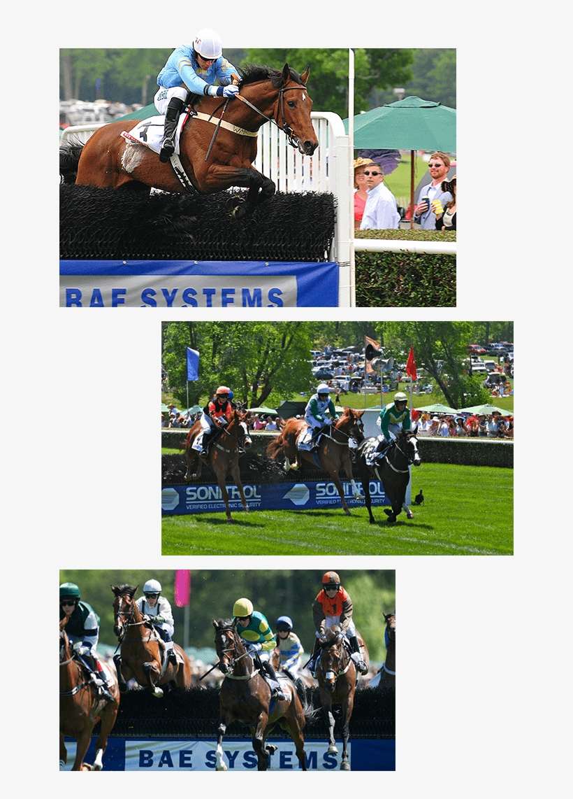 Race And Course Partnerships - Mare, transparent png download