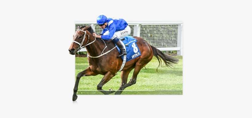 Racing Fans Can Also Watch On-demand Race Replays For - Stallion, transparent png download