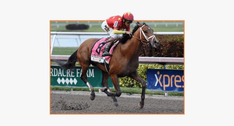 Audible, transparent png download