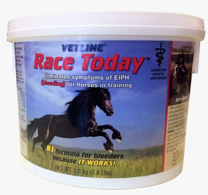 Black Horse Running Throw Blanket, transparent png download