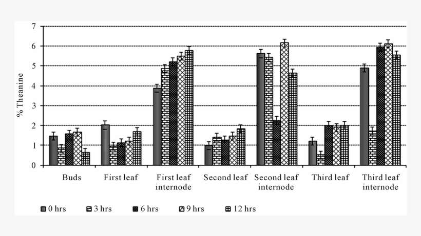 Effect Of Sunlight Exposure On Theanine Levels In Different - Metropolitan Area, transparent png download