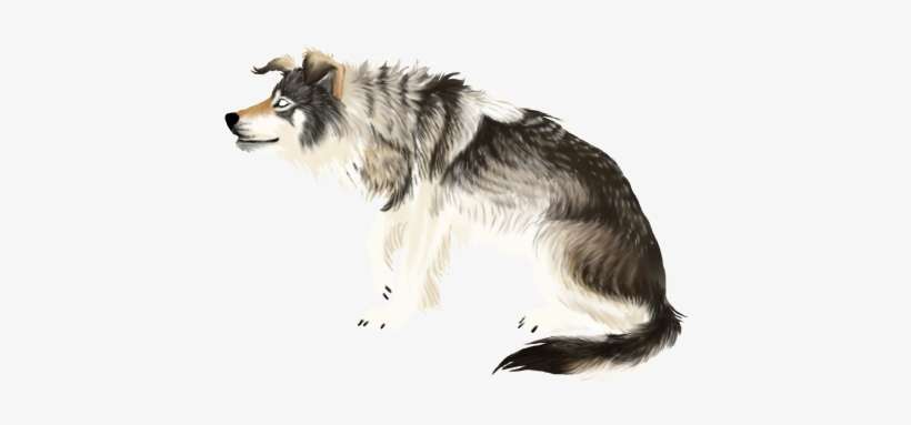 Wolfdye - Mackenzie River Husky, transparent png download
