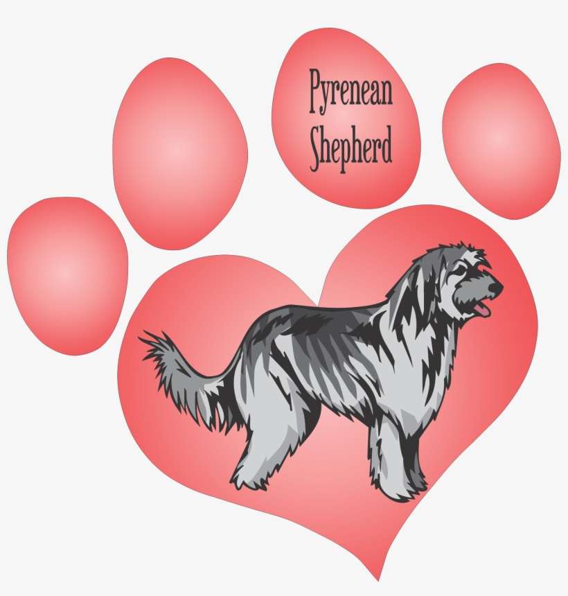 Hotsigns And Decals - Illustration, transparent png download