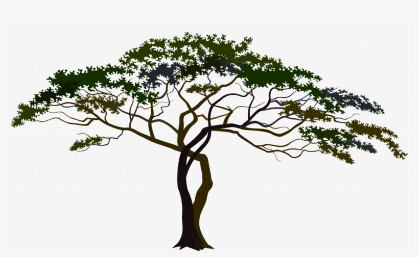Strange Clipart Images Of Trees Landscaping Tree Savannah - African Forest Silhouette Png, transparent png download