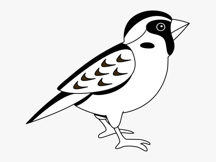 Black And White Sparrow Clipart - Clipart Images Of Sparrow, transparent png download