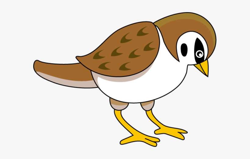Sparrow Cliparts - Sparrow Clipart Png, transparent png download