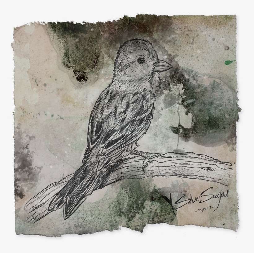 Jpg Royalty Free Stock Amethyst Drawing Pen - Lovebird, transparent png download