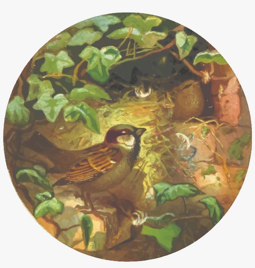 This Free Icons Png Design Of Circular House Sparrow, transparent png download