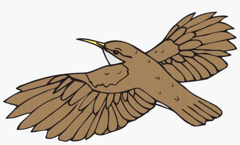 Hummingbird Clipart Sparrow - Brown Bird Flying Clipart, transparent png download