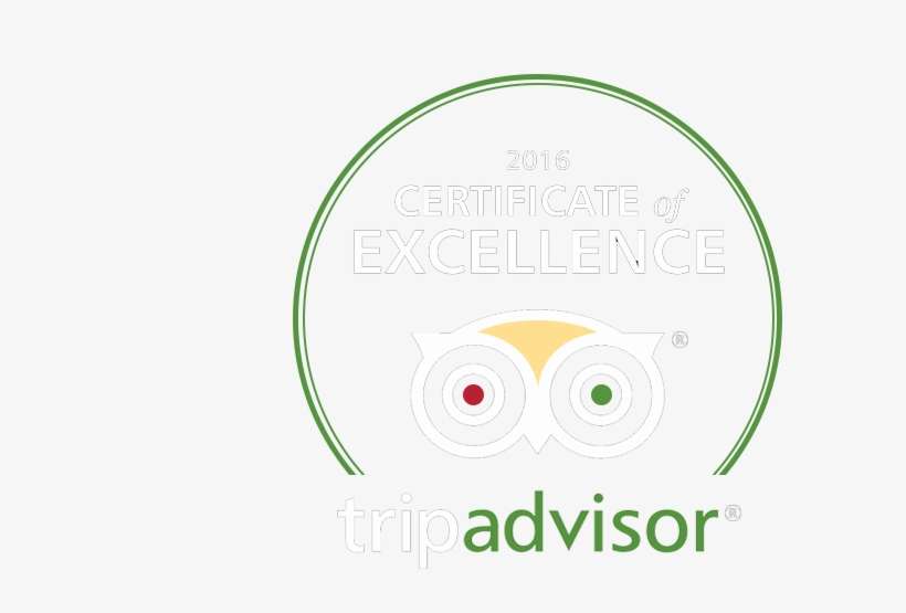 Image - Trip Advisor, transparent png download