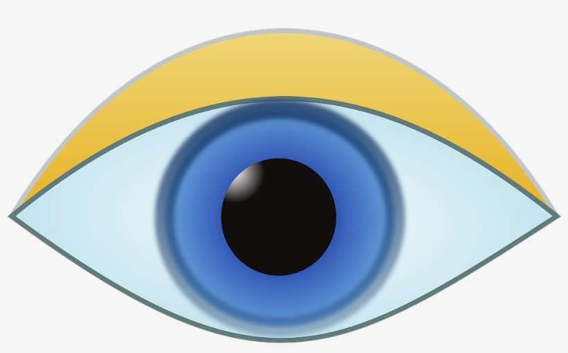 Eye, Iris, Look, Vision, Human, Pupil, Sight, Focus - Visual Perception, transparent png download