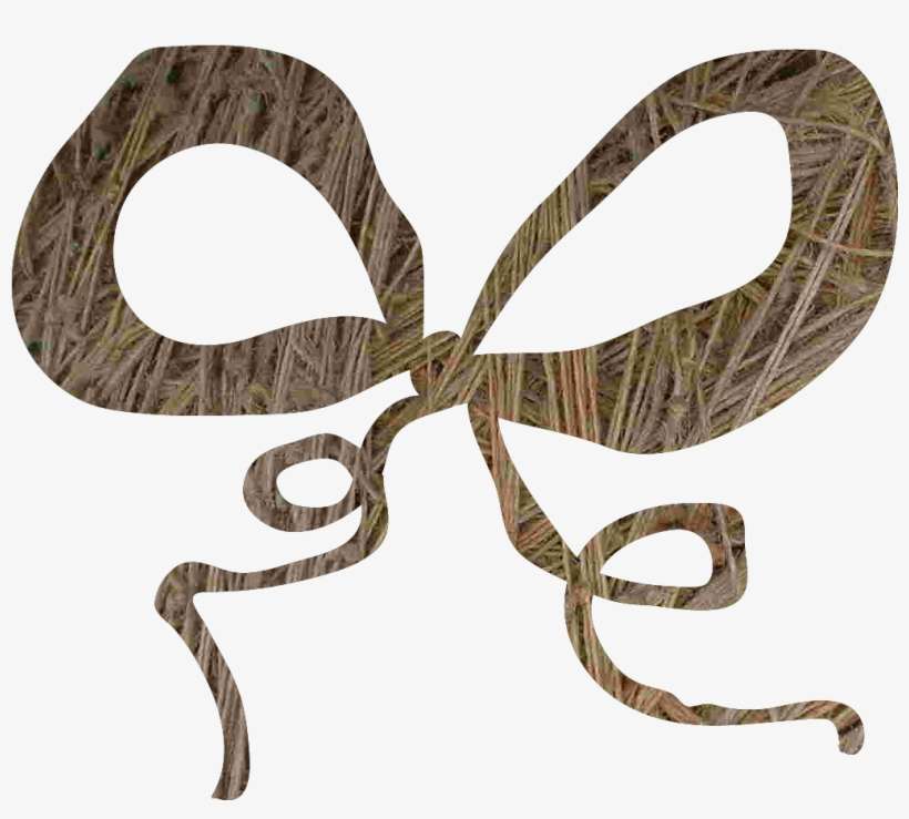 Twine Bow Insect PNG Image Transparent PNG Free Download on SeekPNG