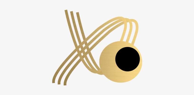 6 Months - Wire, transparent png download