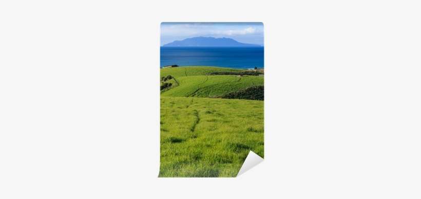 Grassy Hills In Tawharanui Regional Park Wall Mural - Light Switch, transparent png download
