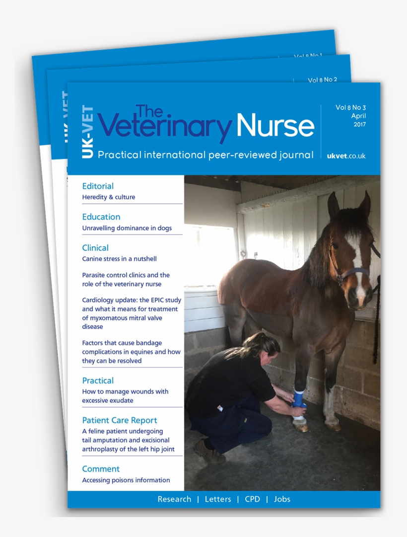 Why Subscribe - Paraveterinary Worker, transparent png download