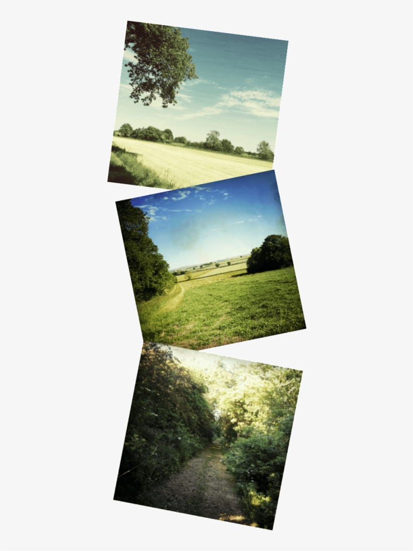 Great Coxwell, transparent png download