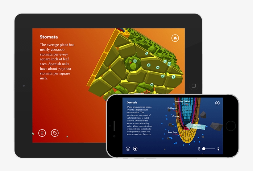 Namoo - Mobile App, transparent png download