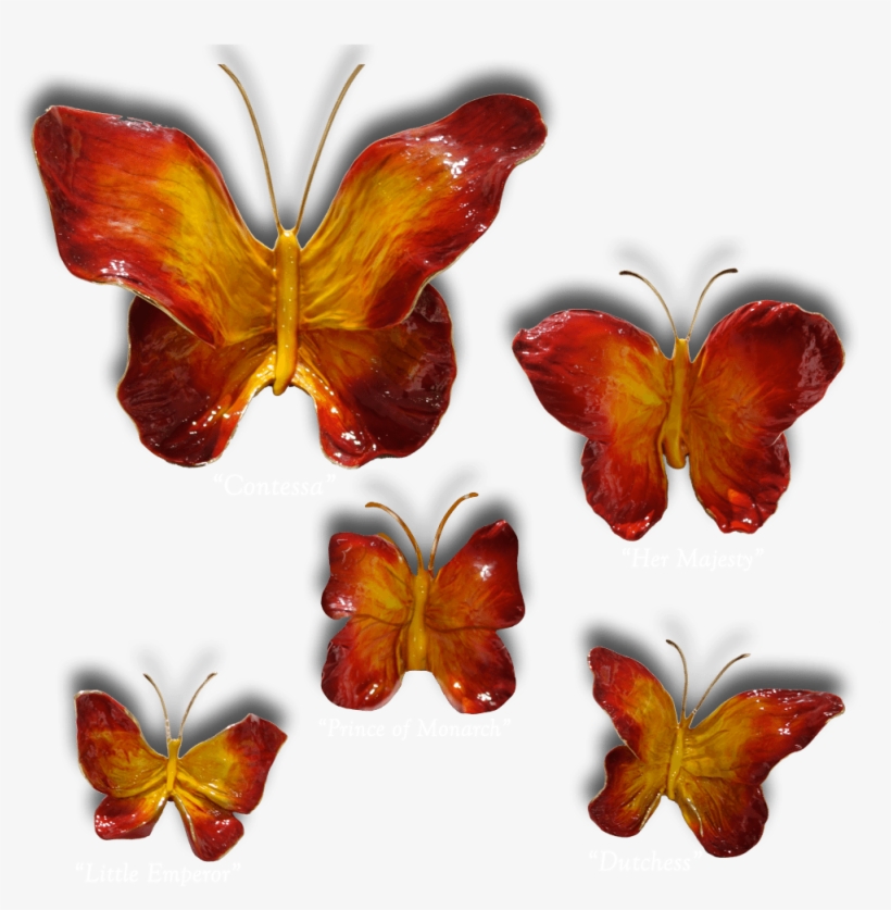 Ron & Sheila Ruiz Flame Butterfly Exposures International - Butterfly, transparent png download